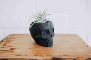 Geometric Concrete Skull Planter