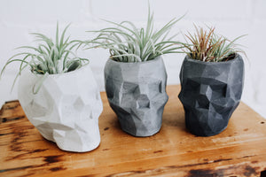 Geometric Concrete Skull Planter